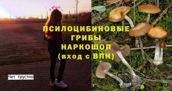 МДМА Абдулино