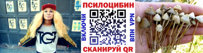 Галлюциногенные грибы мухоморы  цены   Татарск 