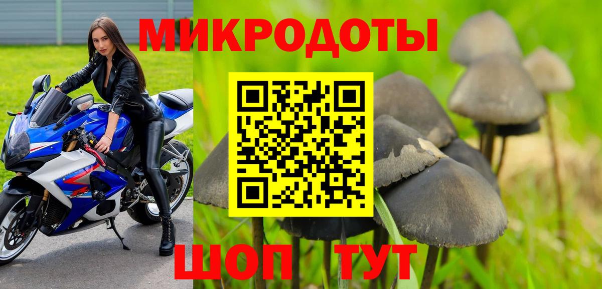 Псилоцибиновые грибы MAGIC MUSHROOMS  Галлюциногенные грибы мицелий  Татарск  Вход с VPN 